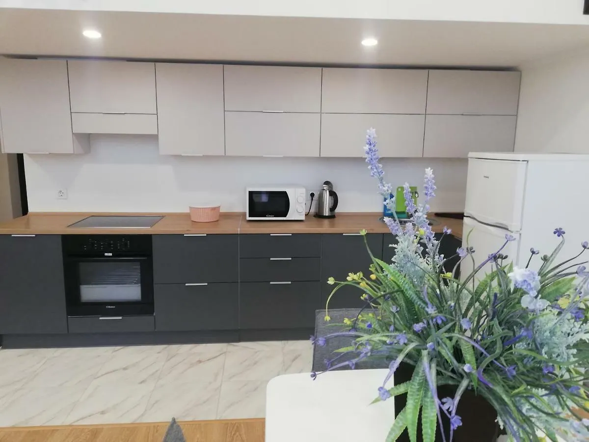 Apartahotel Smart House Hotel Kiev Ucrania